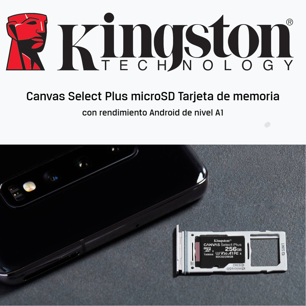 Memoria Micro SD Kingston 256GB Canvas Select Plus 150MB/s A1 C10 U1 V10 Android + Adaptador SD