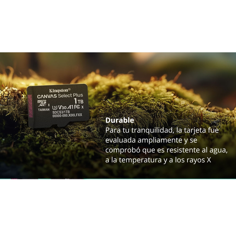 Memoria Micro SD Kingston 128GB Canvas Select Plus A1 C10 U1 V10 150MB/s con Adaptador SD - Original