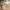 Xiaomi Body Composition Scale S400, Báscula Smart Digital Bt
