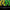 Razer Blackwidow V4 X, Teclado Gamer Mecánico Rgb Esp Yellow
