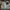 Celular Motorola Moto G75 5g Dual Sim 256gb/8gb, 6.78'', Vrd Verde