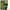 Celular Motorola Moto G15 256gb/4gb Vrd + Buds 6 Play