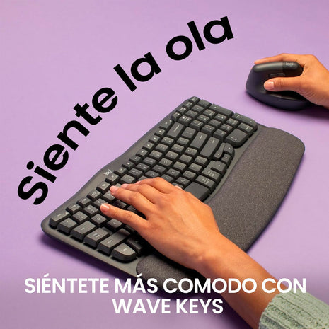 Combo Ergonómico Logitech Teclado Wave Keys + Mouse Lift, Bk