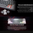 Teclado Gamer Mecánico Wireless Redragon K616rgb-gw Fizz Pro