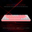 Teclado Gamer Mecánico Wireless Redragon K616rgb-pw Fizz Pro