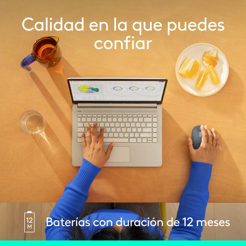 Mouse Bluetooth Inalámbrico Logitech M196, Grafito