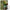 Celular Motorola Moto G15 256gb/4gb Vrd + Mi Band 9 Active