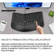 Teclado Ergonómico Con Reposamuñecas Genius Ergo Kb-700