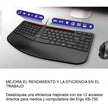 Teclado Ergonómico Con Reposamuñecas Genius Ergo Kb-700