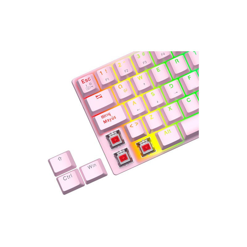 Teclado Gamer 60% T-dagger Arena Pink T-tgk321b-rgb Español Red Switch