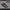 Mouse Gamer Rgb Trust Gxt 930 Jacx, 200~6400 Dpi / 6 Botones
